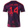 Goedkope FC Bayern München Luis Diaz 14 Third Shirt 2026-27 Goedkope FC Bayern München Luis Diaz 14 Third Shirt 2026-27