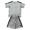 Goedkope Real Madrid Doelman Kids Tenue 2026-27 Grijze