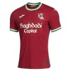 Goedkope Real Sociedad Third Shirt 2026-27