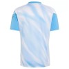 Goedkope Argentinië Farewell Pre-Match Jubileum Shirt 2026-27