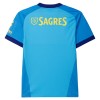 Goedkope Benfica Doelman Shirt 2026-27 Blauwe