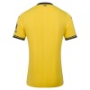 Goedkope Brentford Third Shirt 2026-27