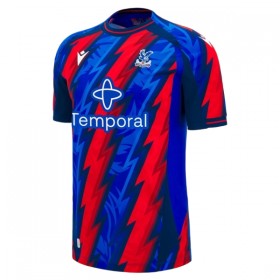 Goedkope Crystal Palace Third Shirt 2026-27