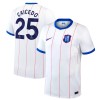 Goedkope Chelsea Caicedo 25 Third Shirt 2026-27 Goedkope Chelsea Caicedo 25 Third Shirt 2026-27