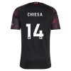 Goedkope Liverpool Chiesa 14 Kids Third Tenue 2026-27